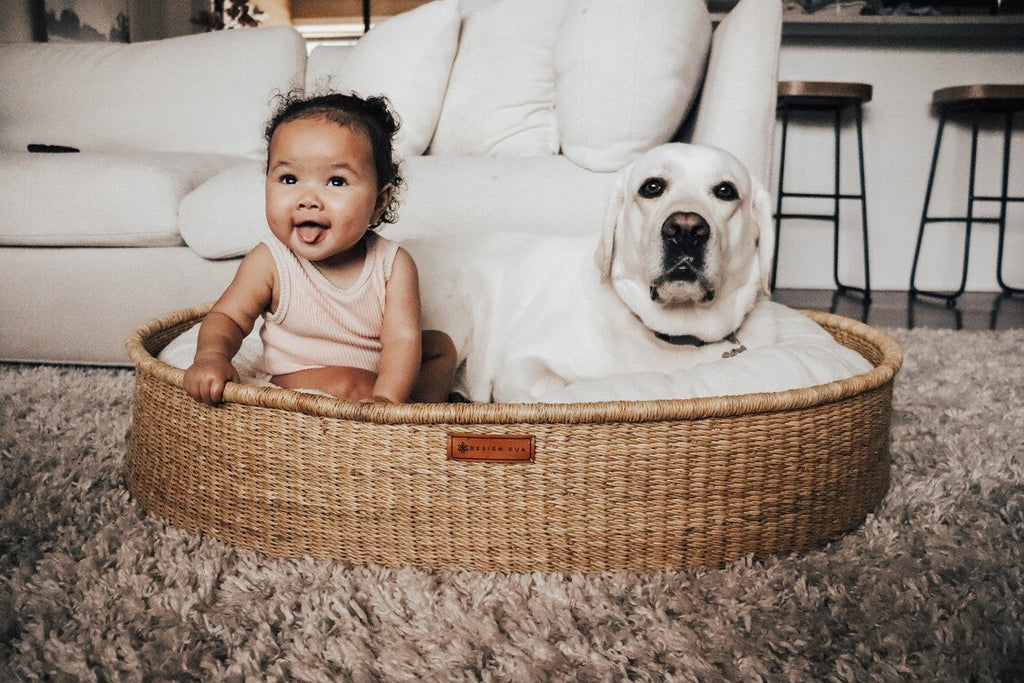Pet Beds